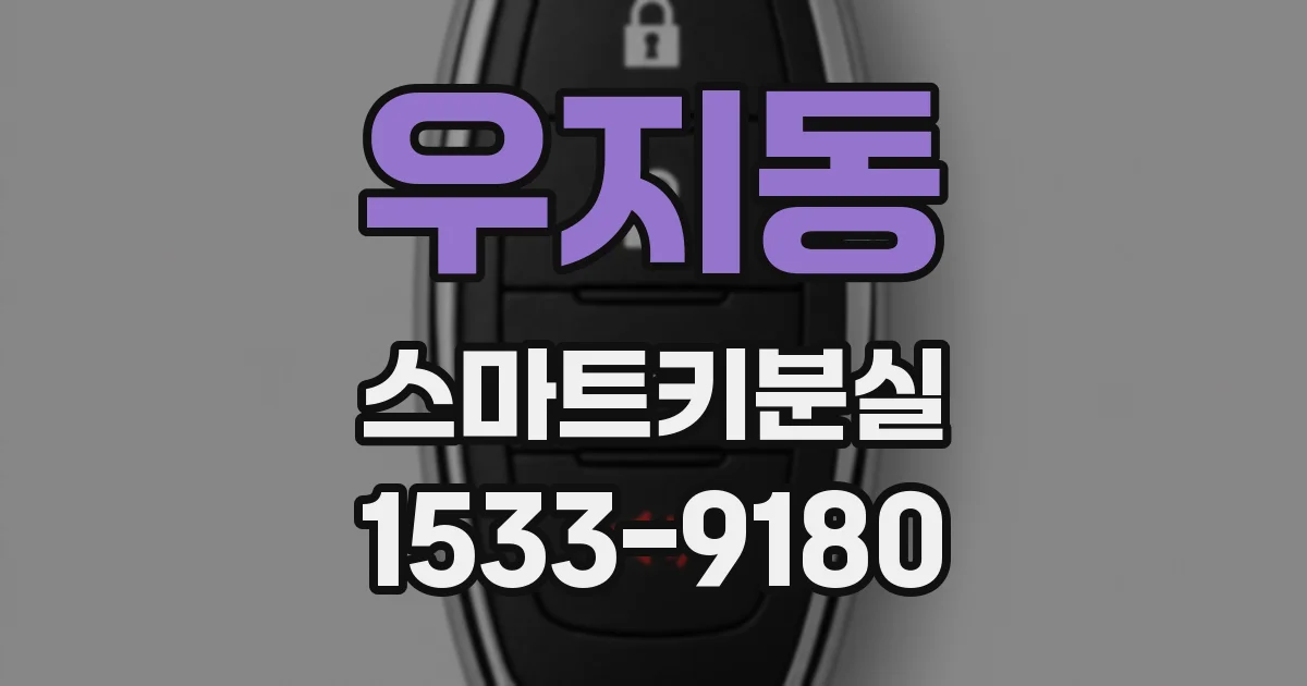 우지동 스마트키분실