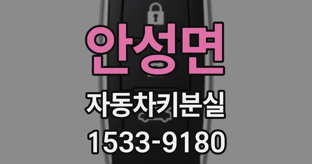 안성면 자동차키분실