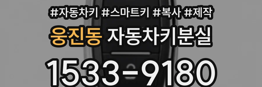 웅진동 자동차키분실