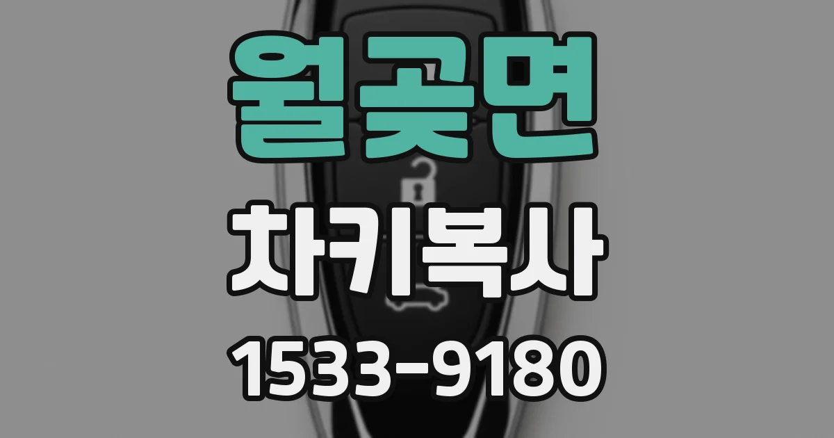 월곶면 차키복사
