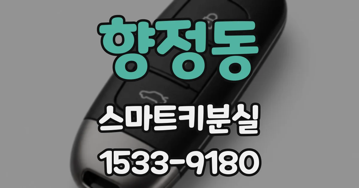 향정동 스마트키분실