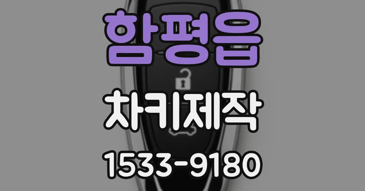 함평읍 차키제작