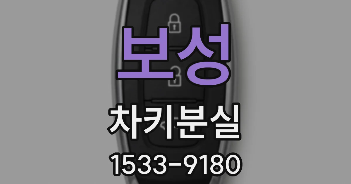 보성 차키분실