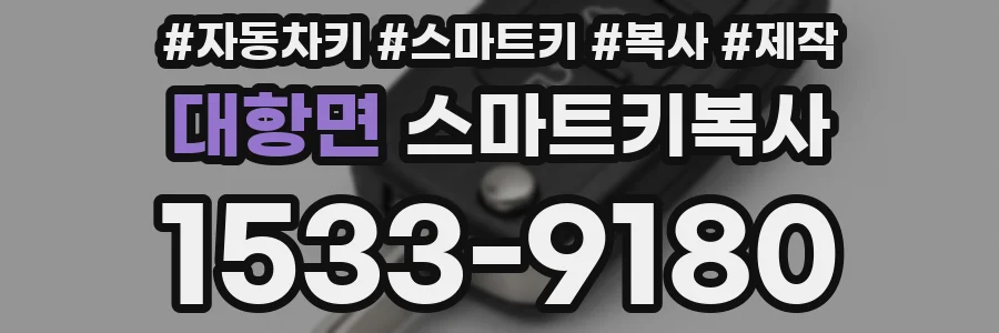 대항면 스마트키복사