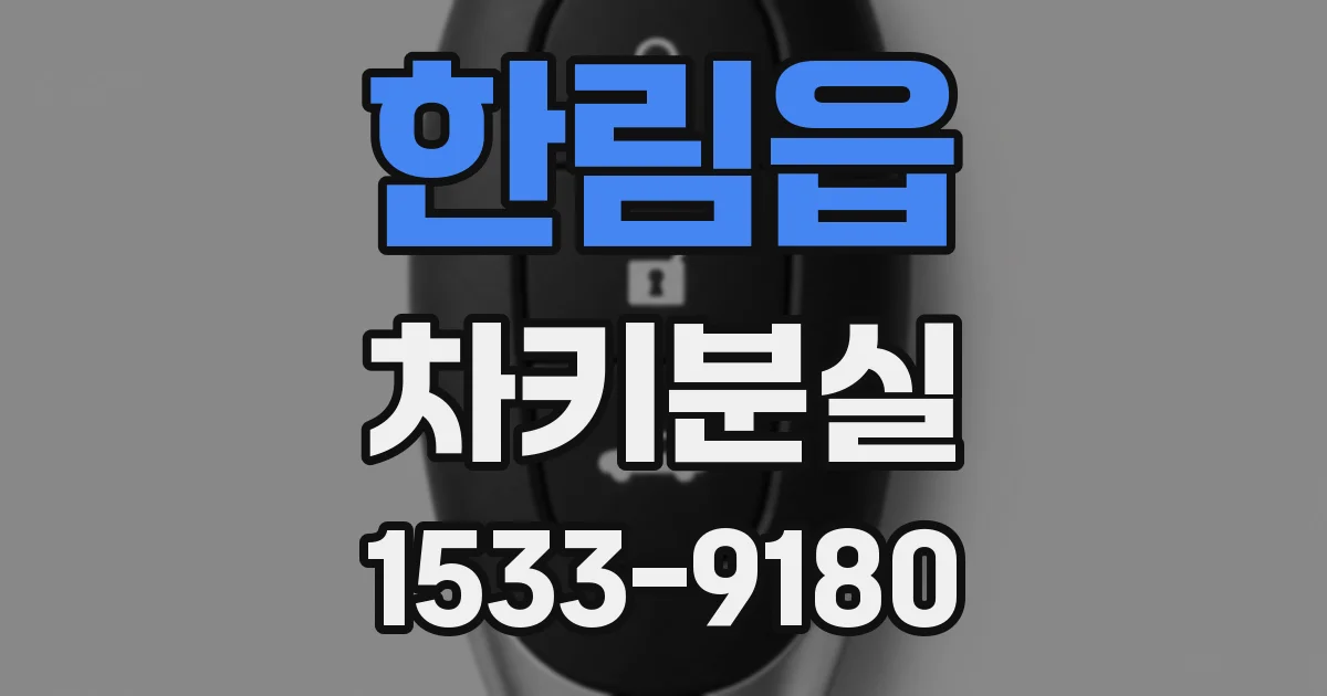 한림읍 차키분실