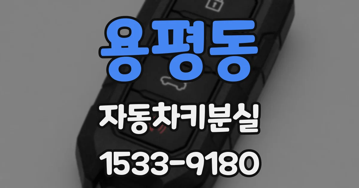 용평동 자동차키분실