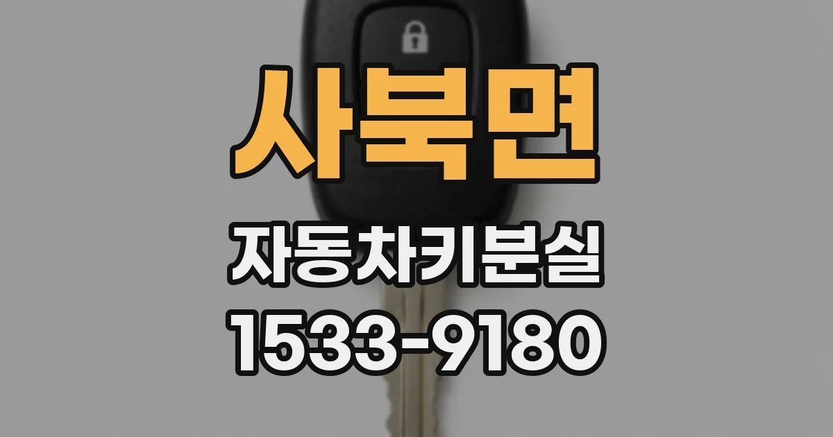 사북면 자동차키분실
