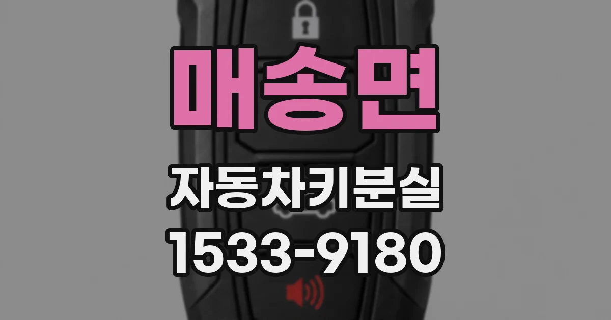 매송면 자동차키분실