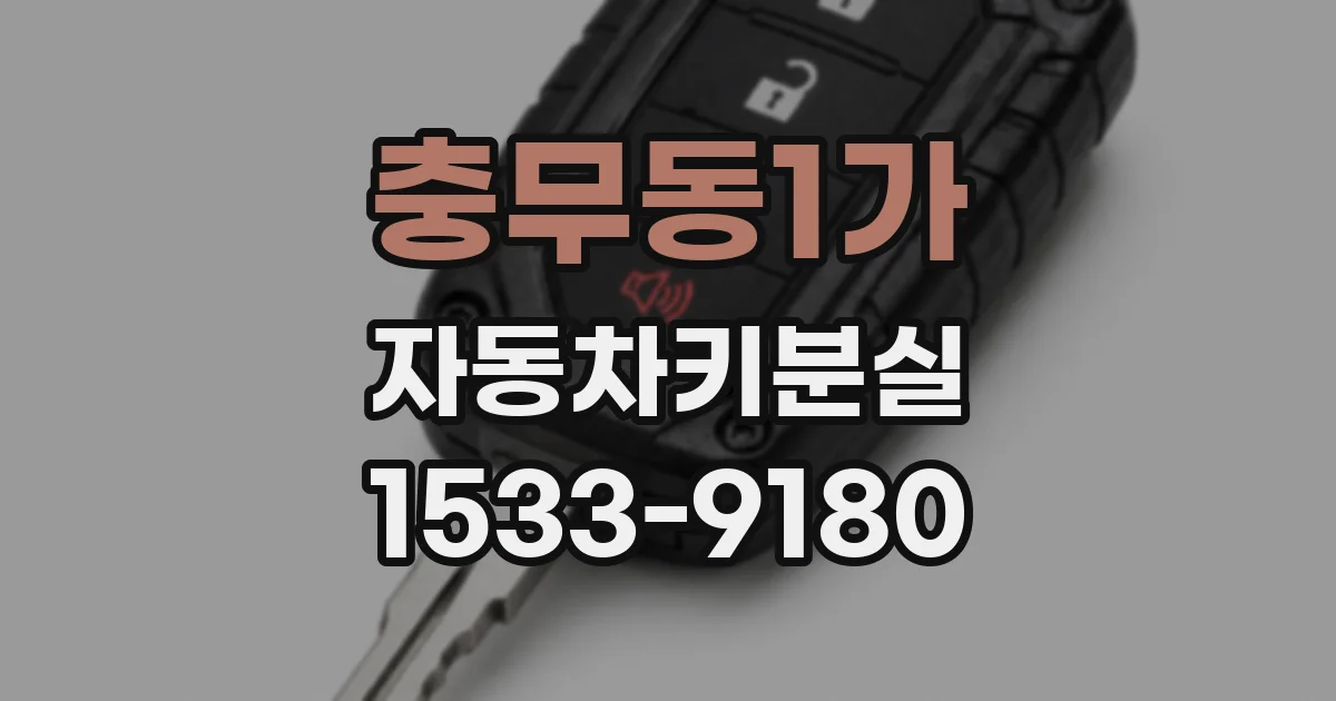 충무동1가 자동차키분실
