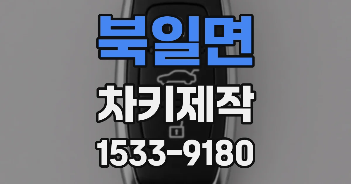 북일면 차키제작