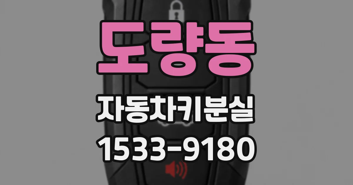 도량동 자동차키분실