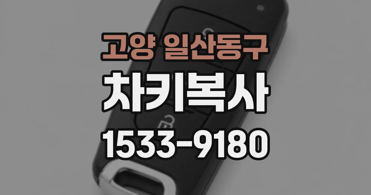 고양 일산동구 차키복사