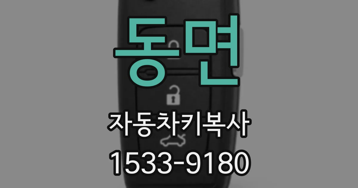 동면 자동차키복사