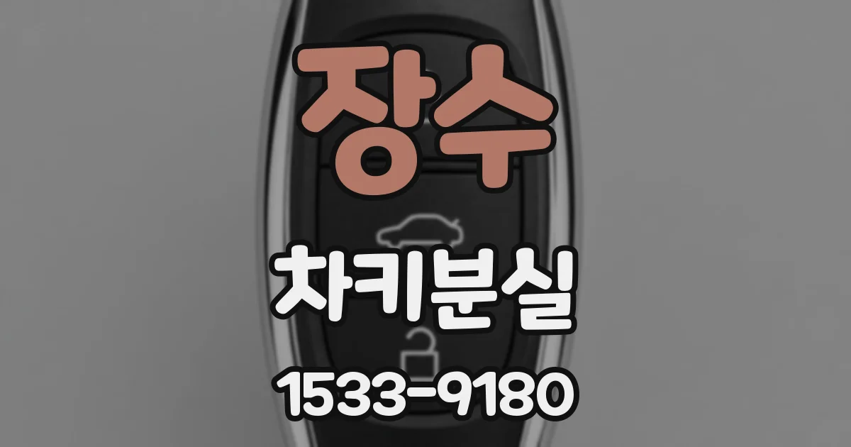 장수 차키분실