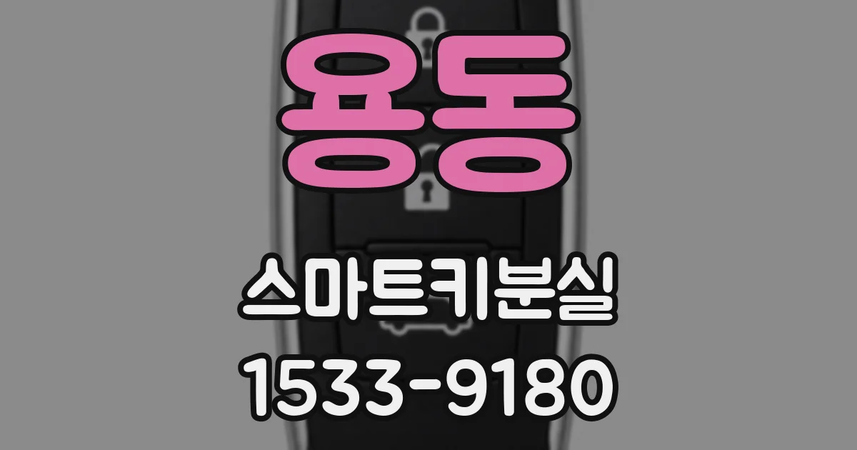 용동 스마트키분실