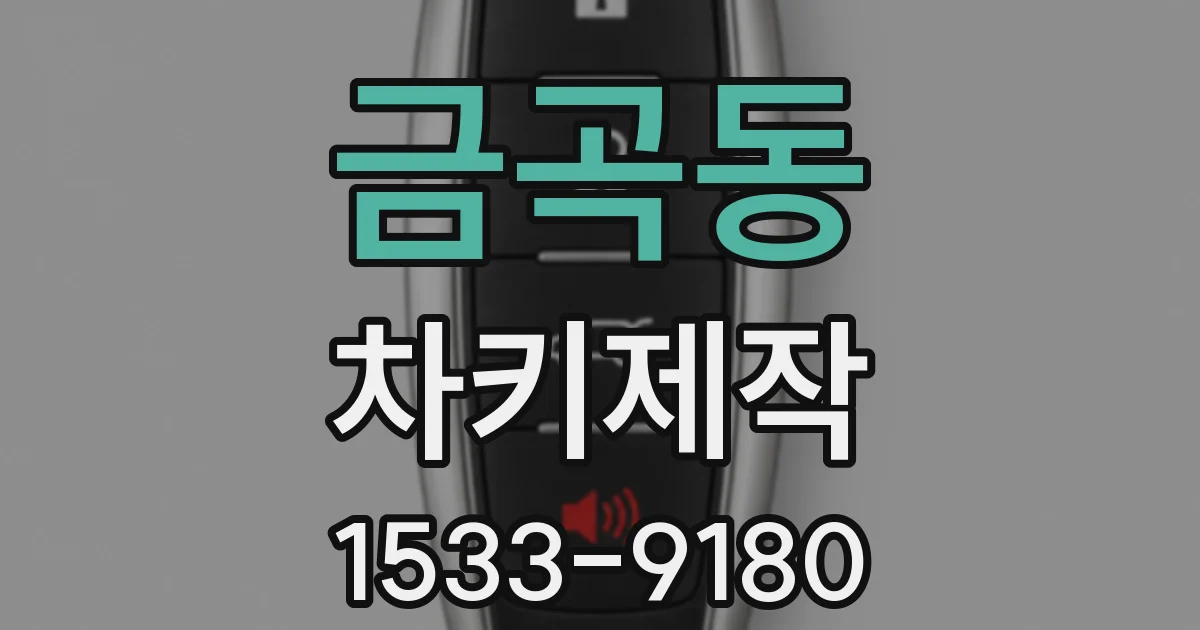 금곡동 차키제작