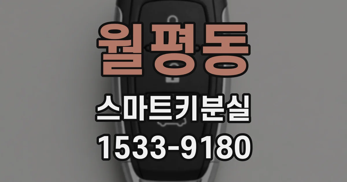 월평동 스마트키분실