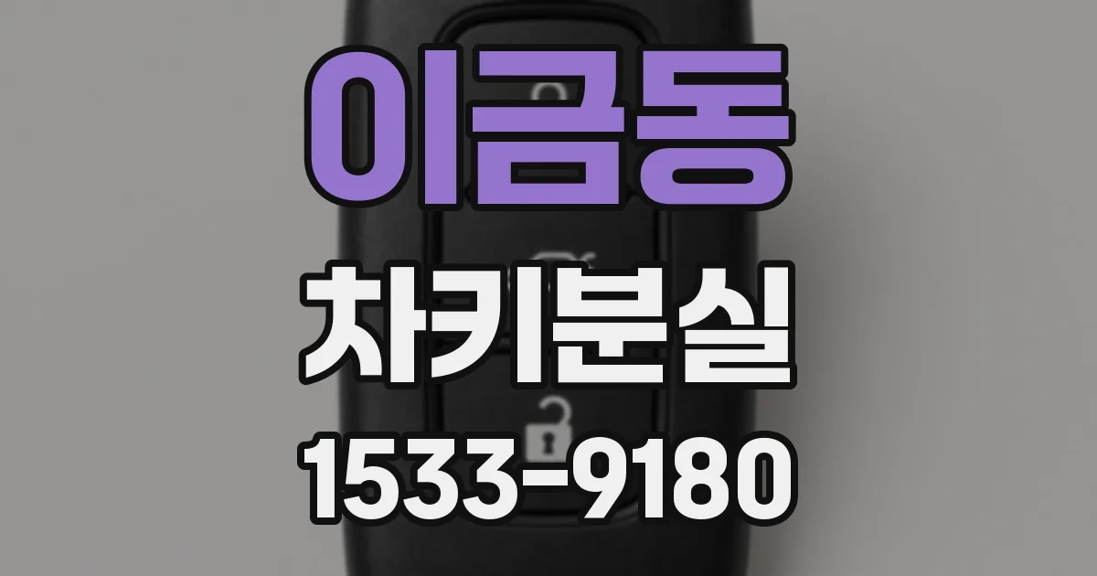 이금동 차키분실
