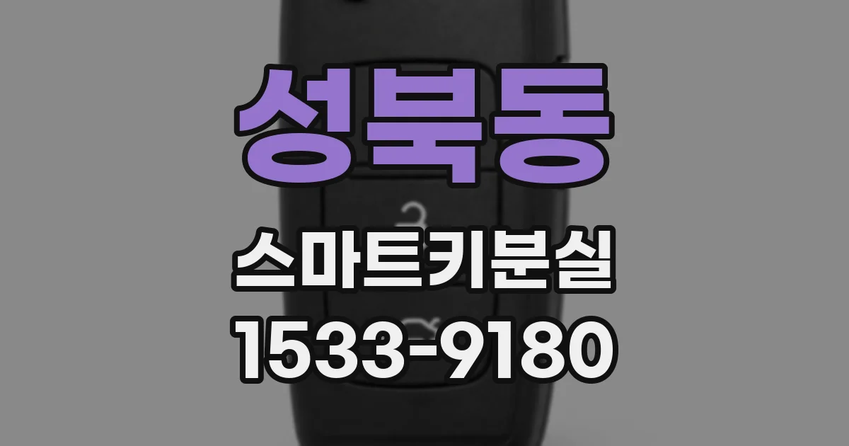 성북동 스마트키분실