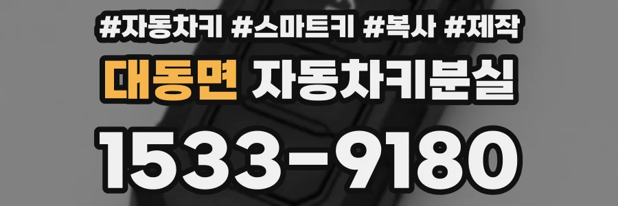 대동면 자동차키분실