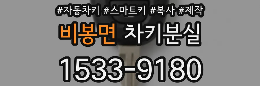 비봉면 차키분실