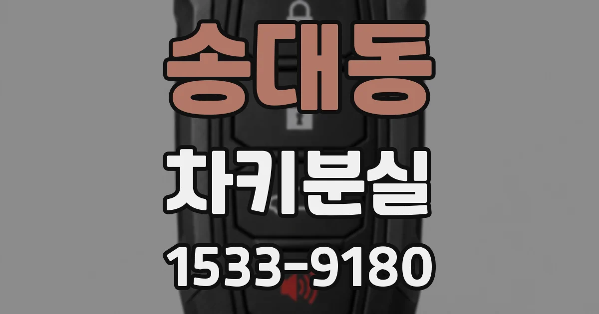 송대동 차키분실