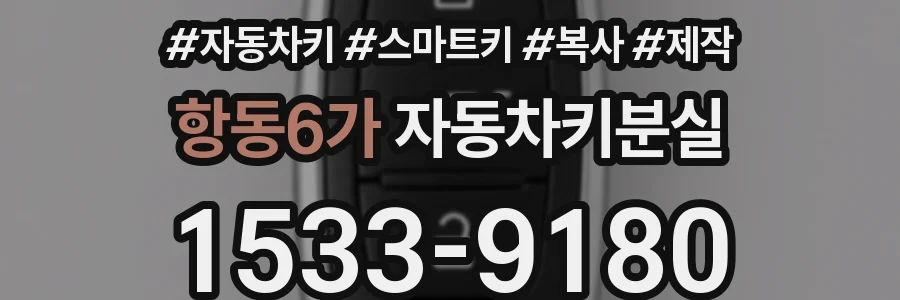 항동6가 자동차키분실