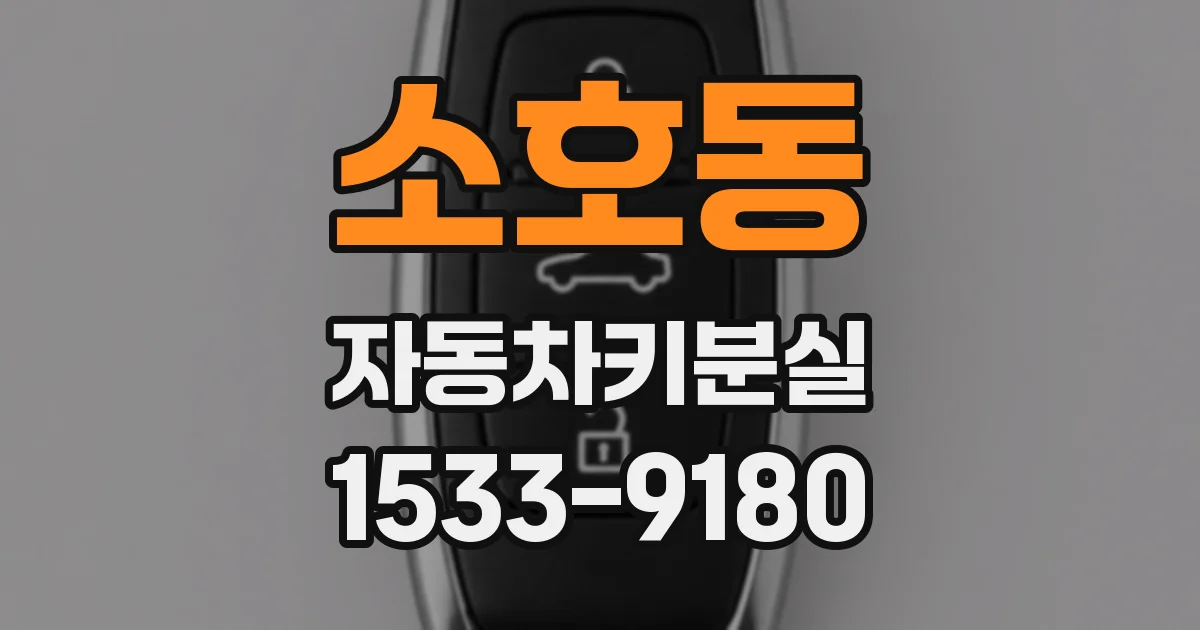 소호동 자동차키분실