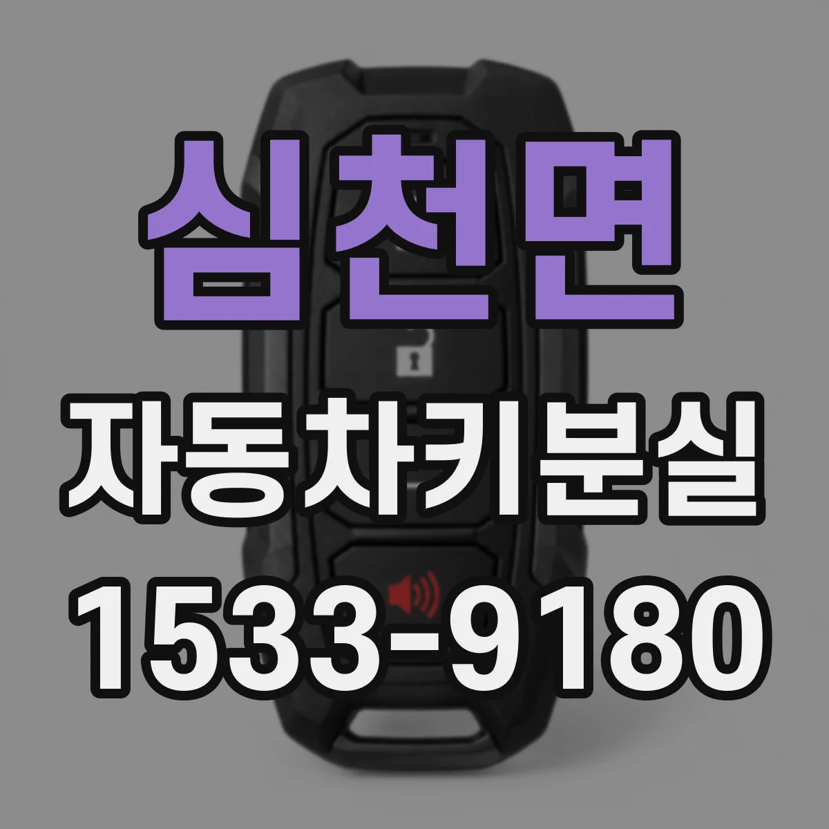 심천면 자동차키분실