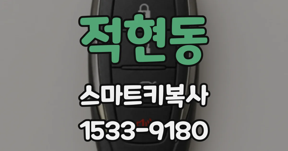 적현동 스마트키복사