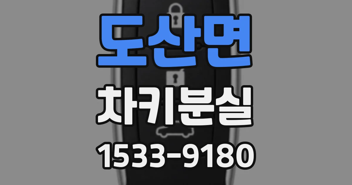 도산면 차키분실