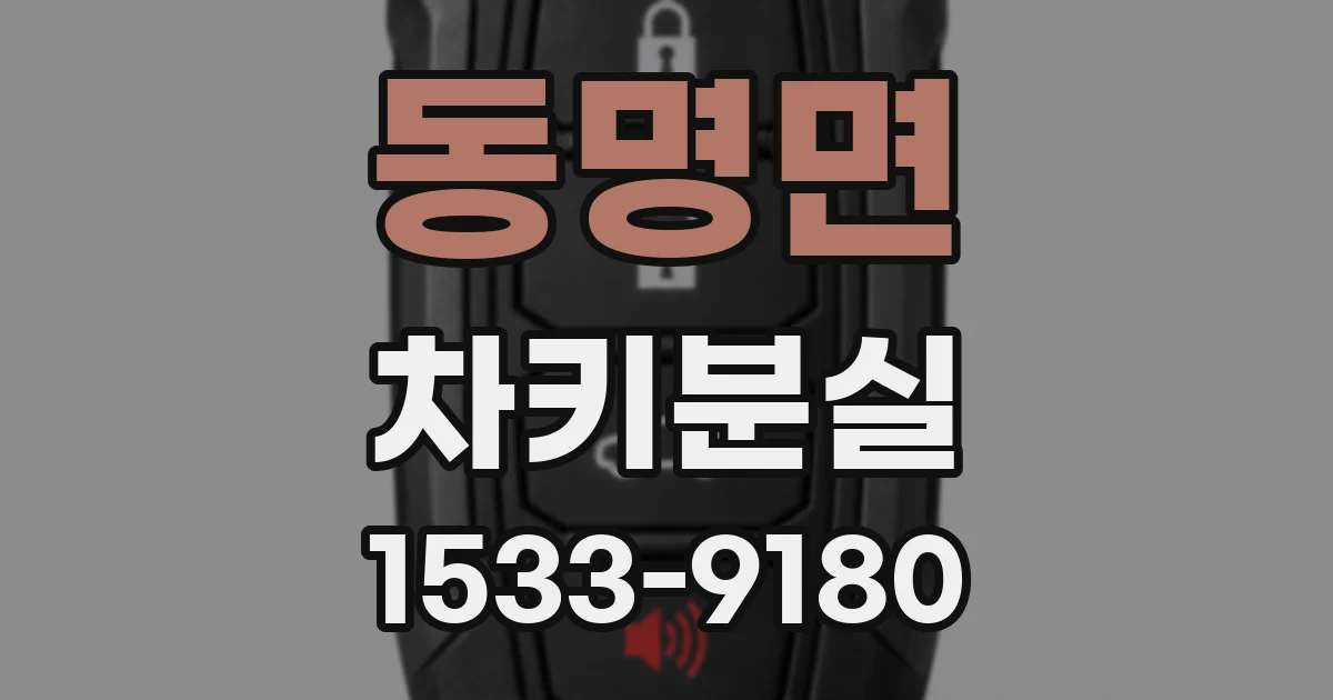 동명면 차키분실
