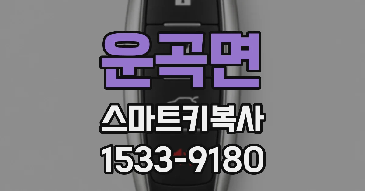 운곡면 스마트키복사