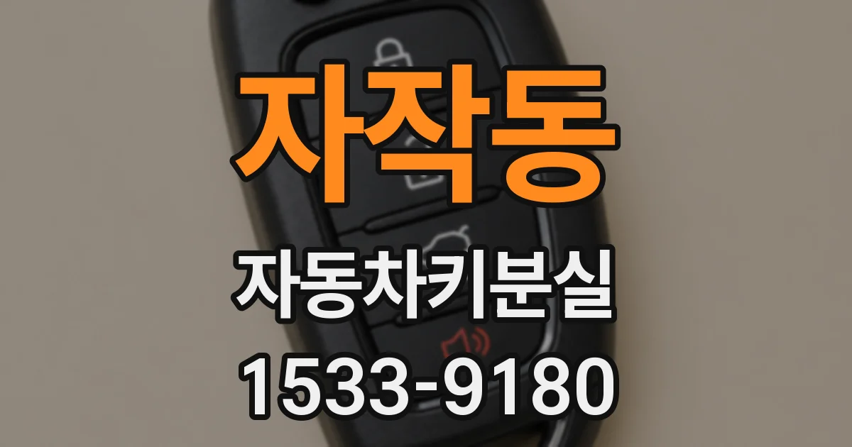 자작동 자동차키분실