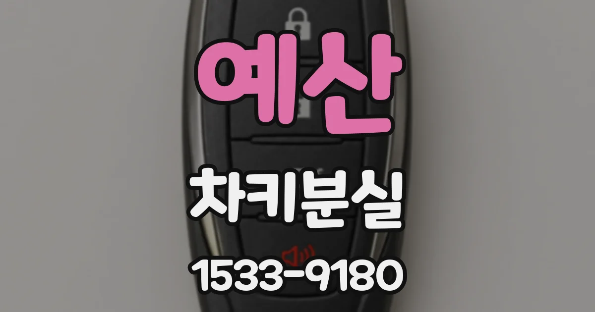 예산 차키분실
