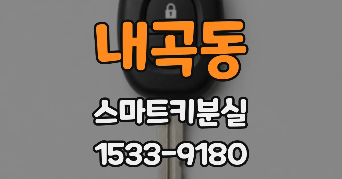 내곡동 스마트키분실