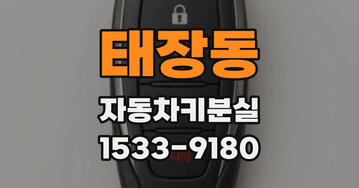 태장동 자동차키분실