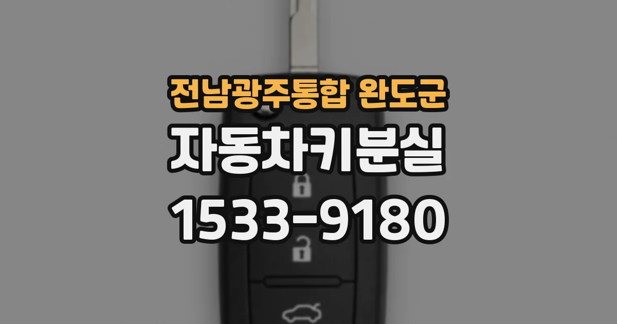 전남광주통합 완도군 자동차키분실