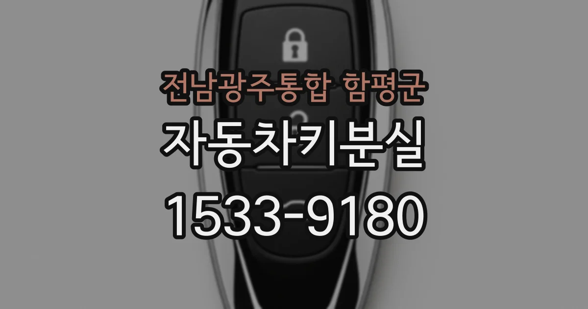 전남광주통합 함평군 자동차키분실