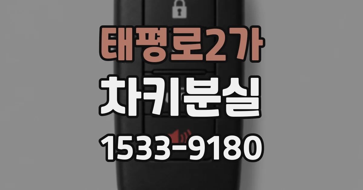 태평로2가 차키분실