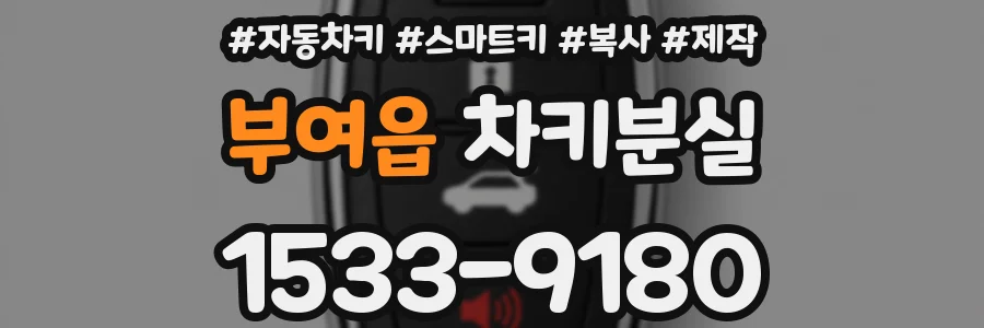 부여읍 차키분실