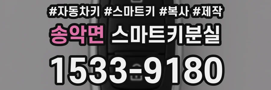 송악면 스마트키분실
