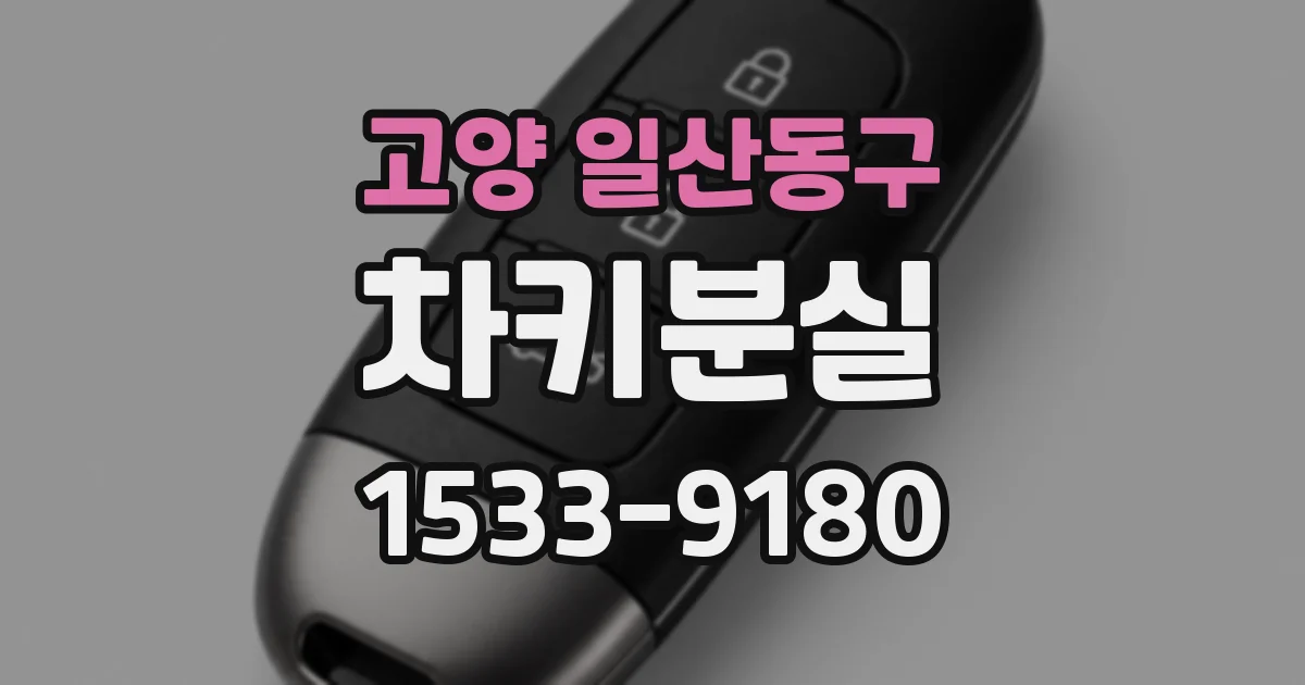 고양 일산동구 차키분실