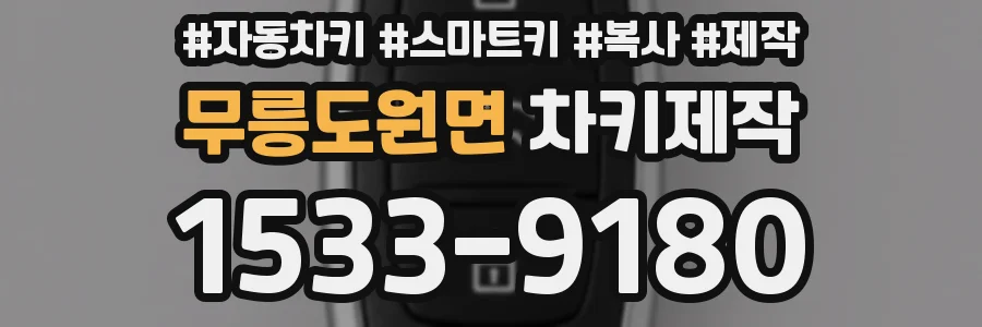 무릉도원면 차키제작
