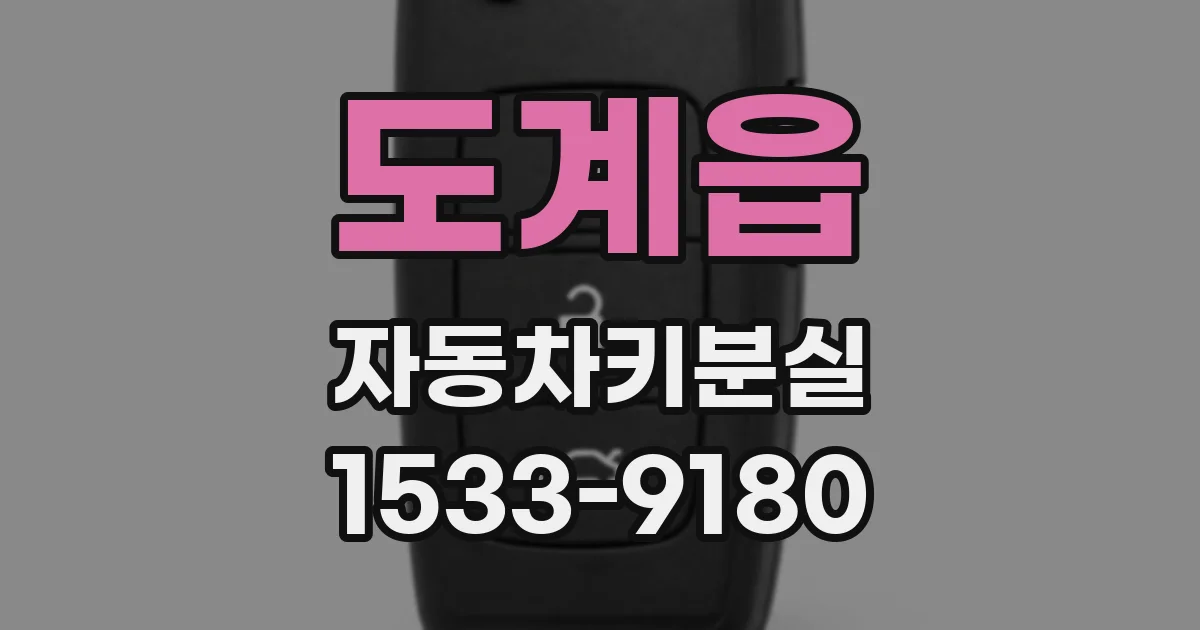 도계읍 자동차키분실