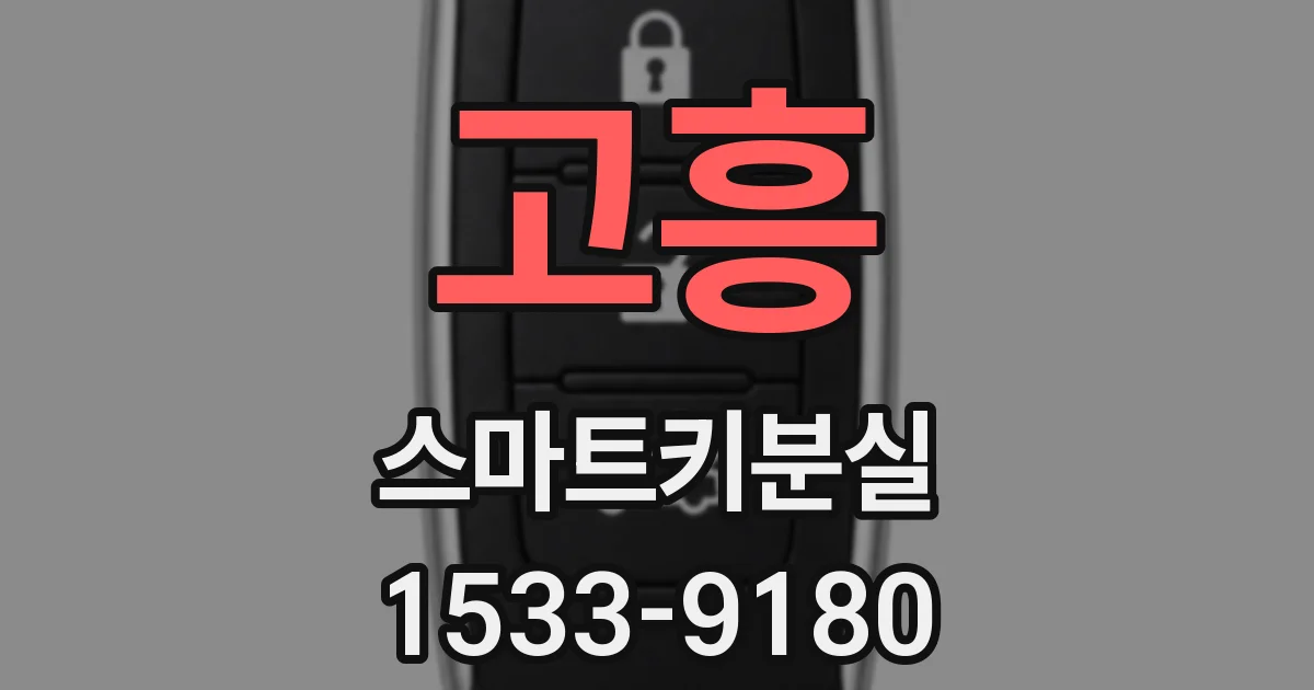 고흥 스마트키분실