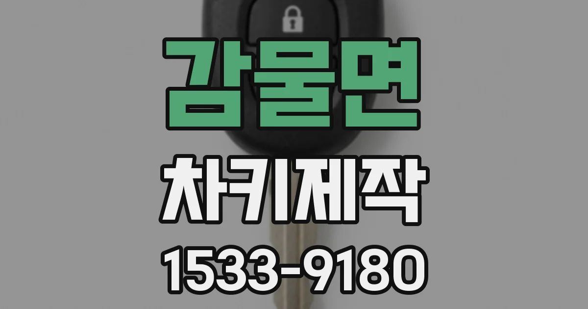감물면 차키제작