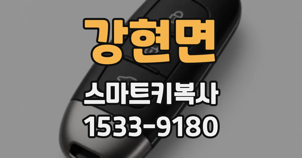 강현면 스마트키복사