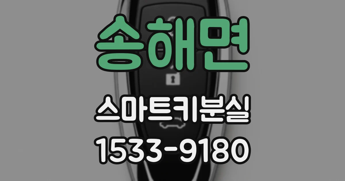 송해면 스마트키분실