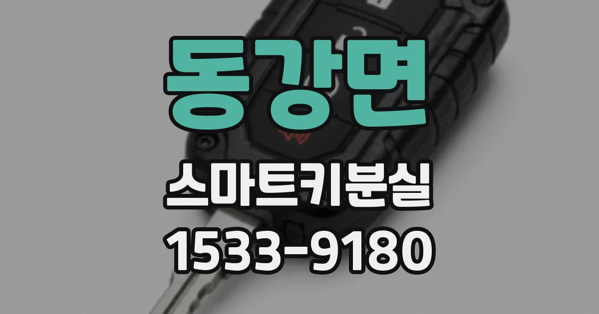 동강면 스마트키분실